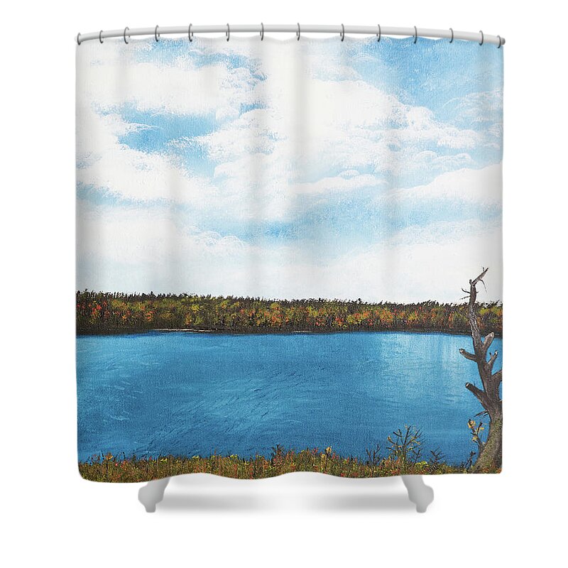 Landscape Shower Curtain featuring the painting Fall In Itasca by Gabrielle Munoz