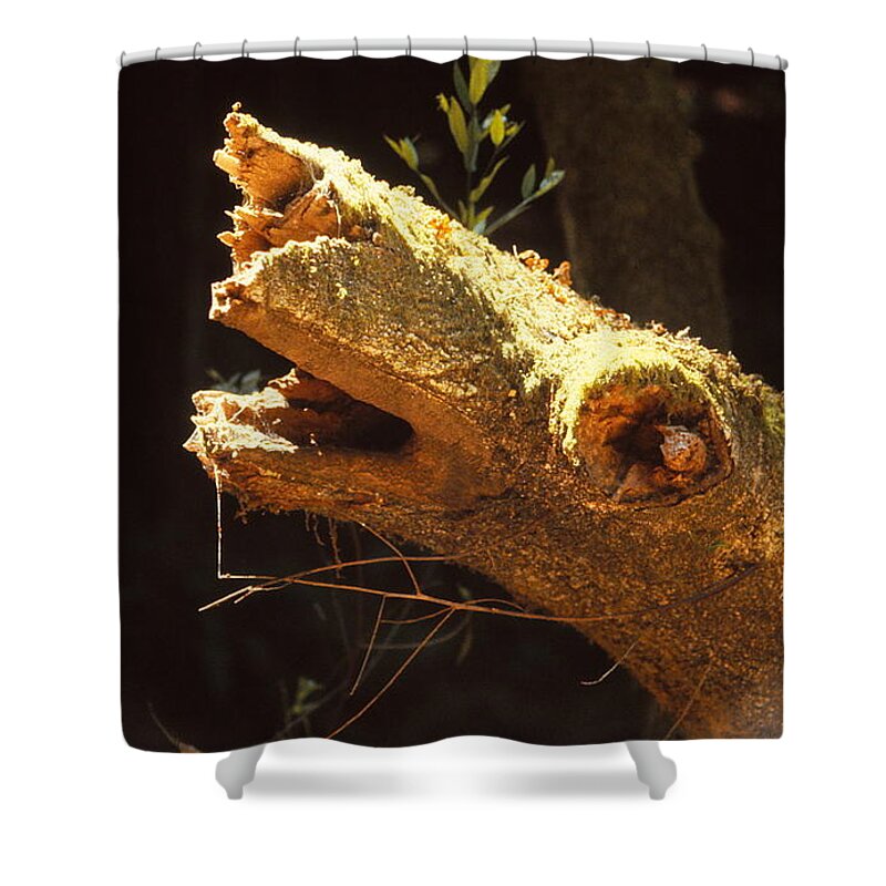 Horse Shower Curtain featuring the photograph Fallen Horse by Marty Klar