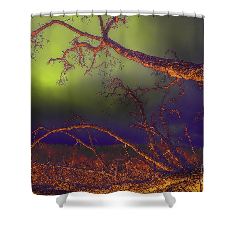Tree Shower Curtain featuring the photograph Fallen Tree by Mike Eingle