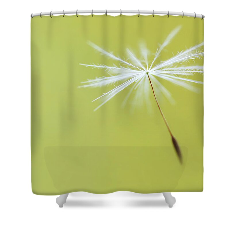 Motion Shower Curtain featuring the photograph Falling Softly by Natalia Campbell Of Nc Photography