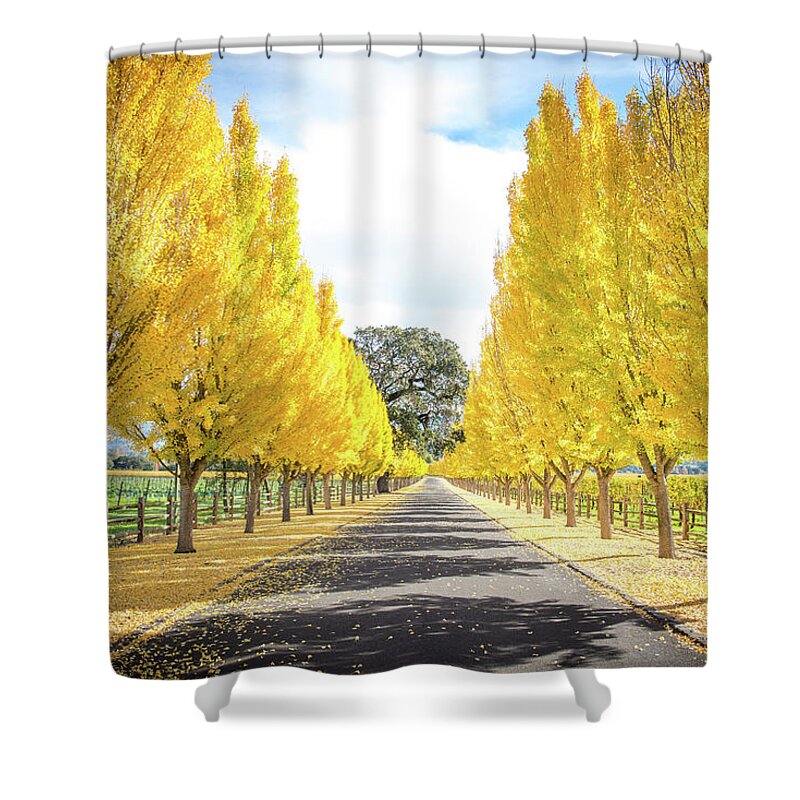 Far Niente Winery Shower Curtain featuring the photograph Far Niente Driveway by Aileen Savage