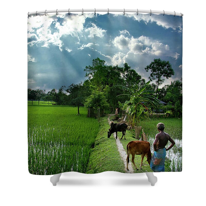 Mature Adult Shower Curtain featuring the photograph Farmer And His Livestock On Lush Green by Raqeebul Ketan