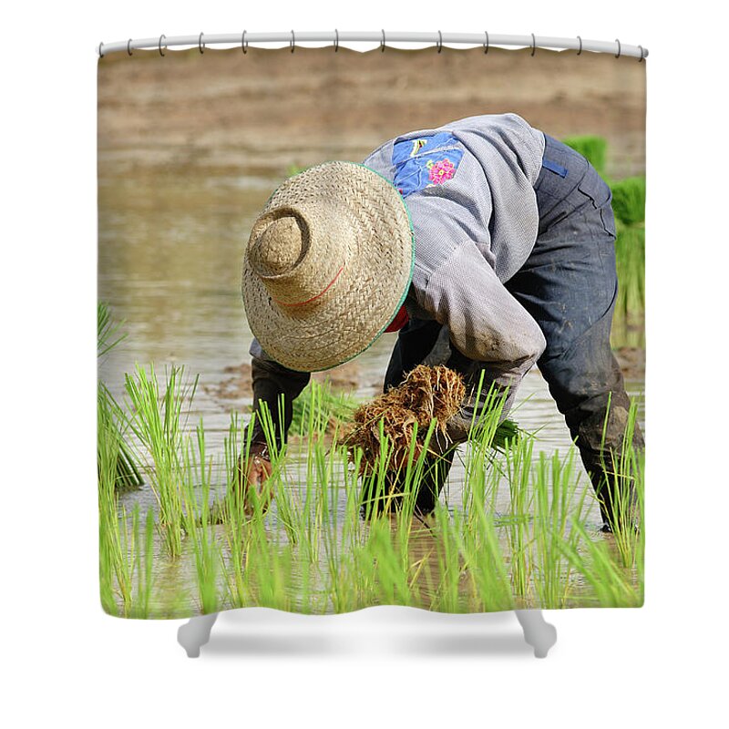 Working Shower Curtain featuring the photograph Farming by Pailoolom