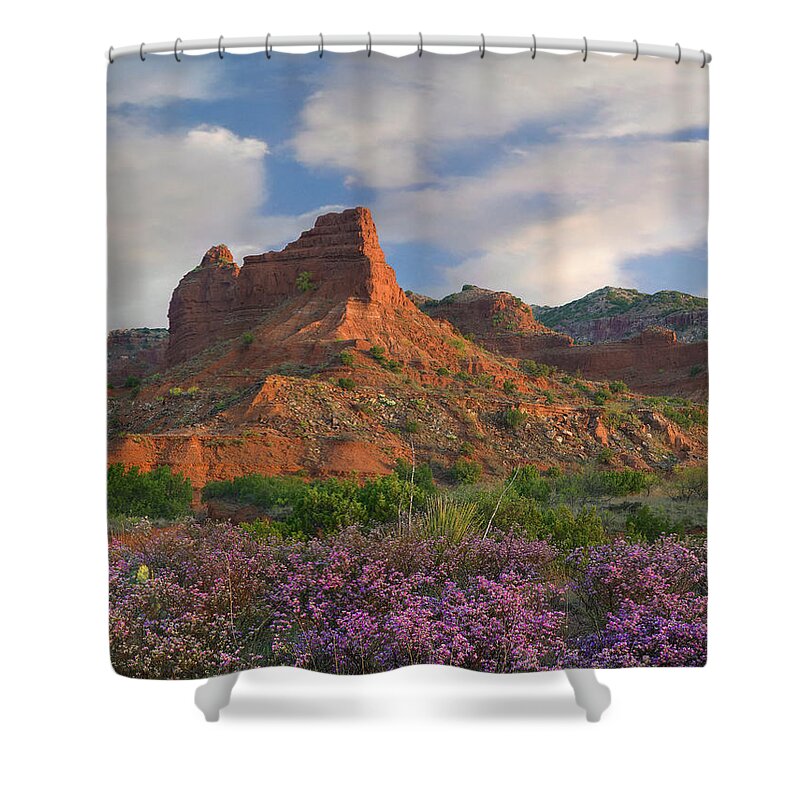 00544886 Shower Curtain featuring the photograph Feather Dalea, Caprock Canyons State Park, Texas by Tim Fitzharris