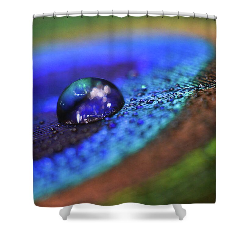 Feather Shower Curtain featuring the photograph Feather Fall by Michelle Wermuth