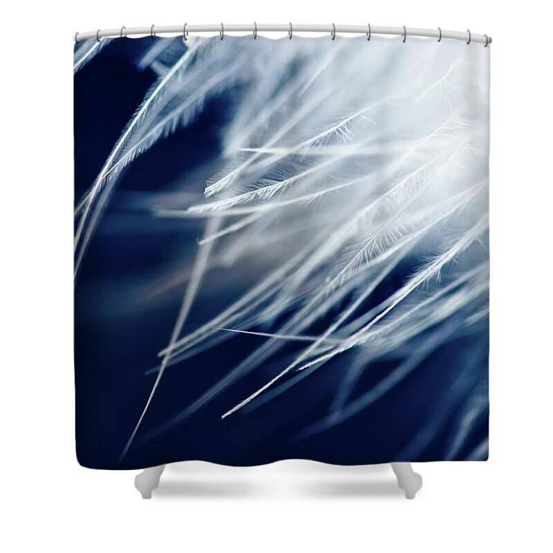 Animal Themes Shower Curtain featuring the photograph Feathers Cold by Created By Tafari K. Stevenson-howard