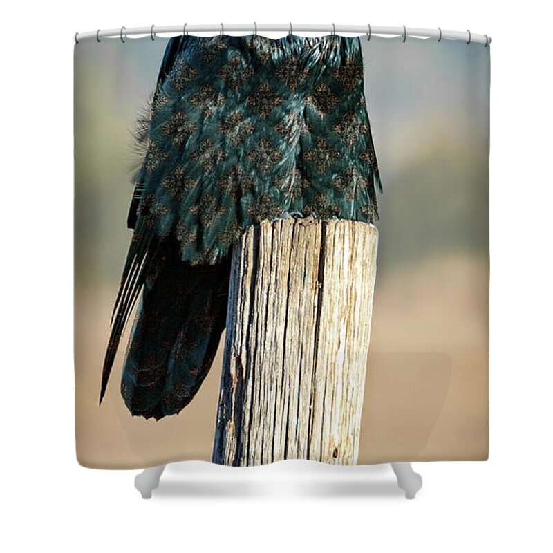 Raven Shower Curtain featuring the photograph Feeling Fancy by Mary Hone