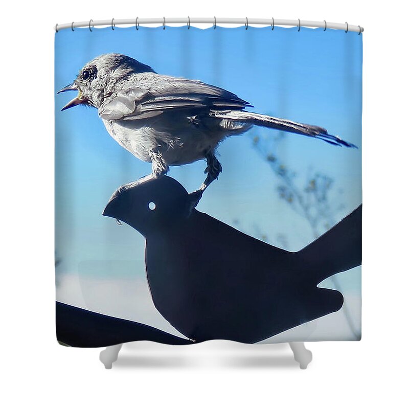 Arizona Shower Curtain featuring the photograph Caption This by Judy Kennedy