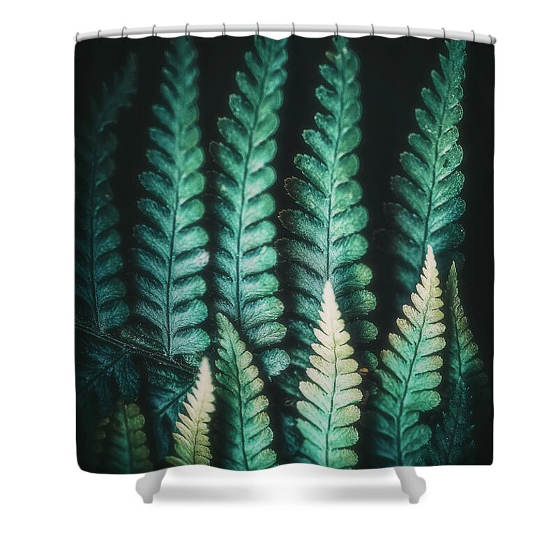 Fern Shower Curtain featuring the photograph Fern #14 by Philippe Sainte-Laudy