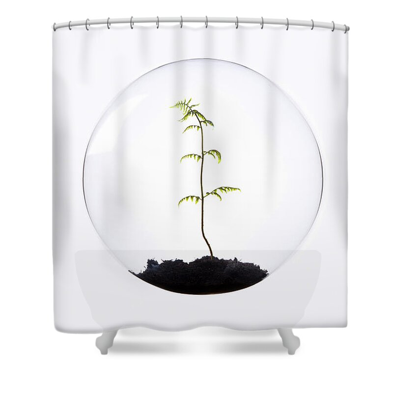 Beginnings Shower Curtain featuring the photograph Fern Growing Inside Glass Orb by Thomas Jackson