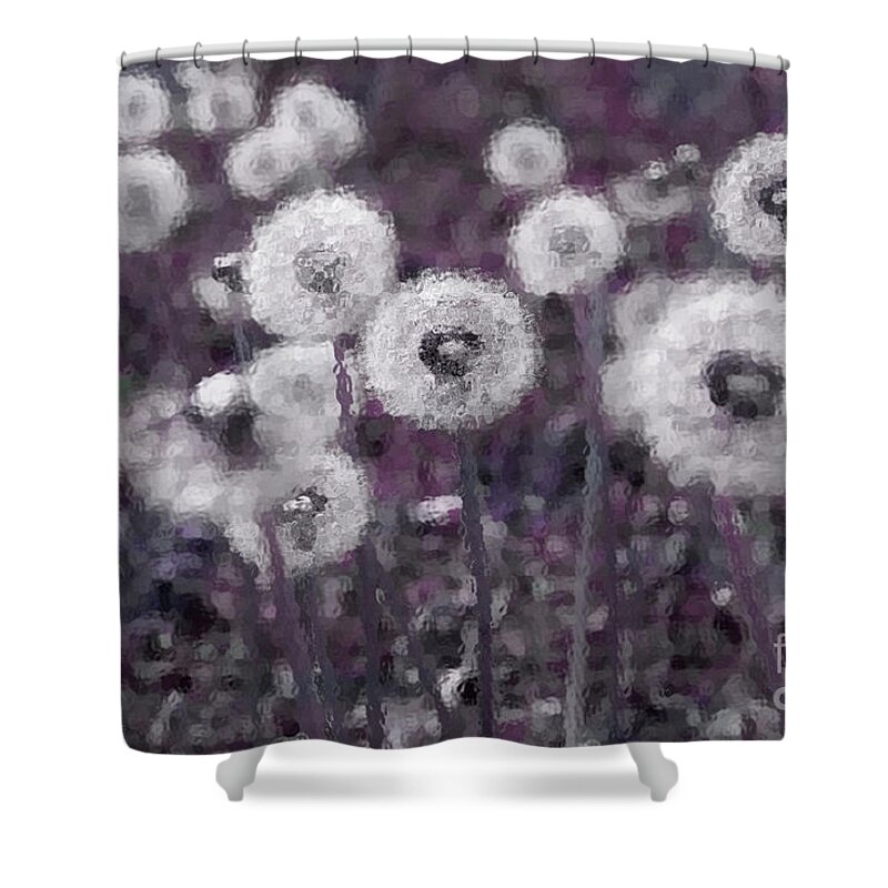 Dandelion Shower Curtain featuring the photograph Field Of Dreams by Mike Eingle