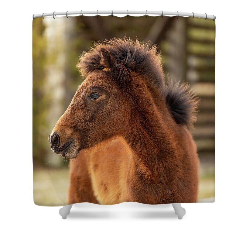 Animals Shower Curtain featuring the photograph Filly Gone Wild by Donna Twiford