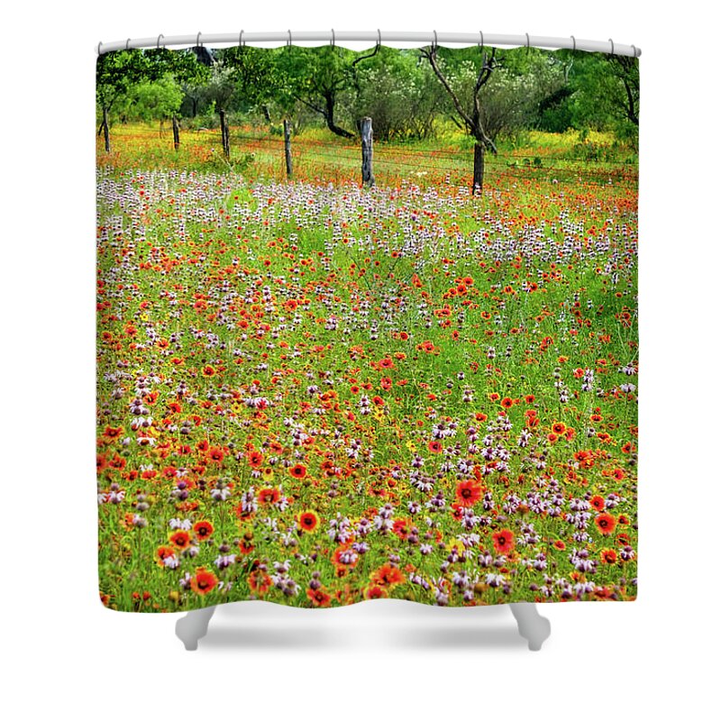 Texas Wildflowers Shower Curtain featuring the photograph Fire Wheel Bliss by Johnny Boyd