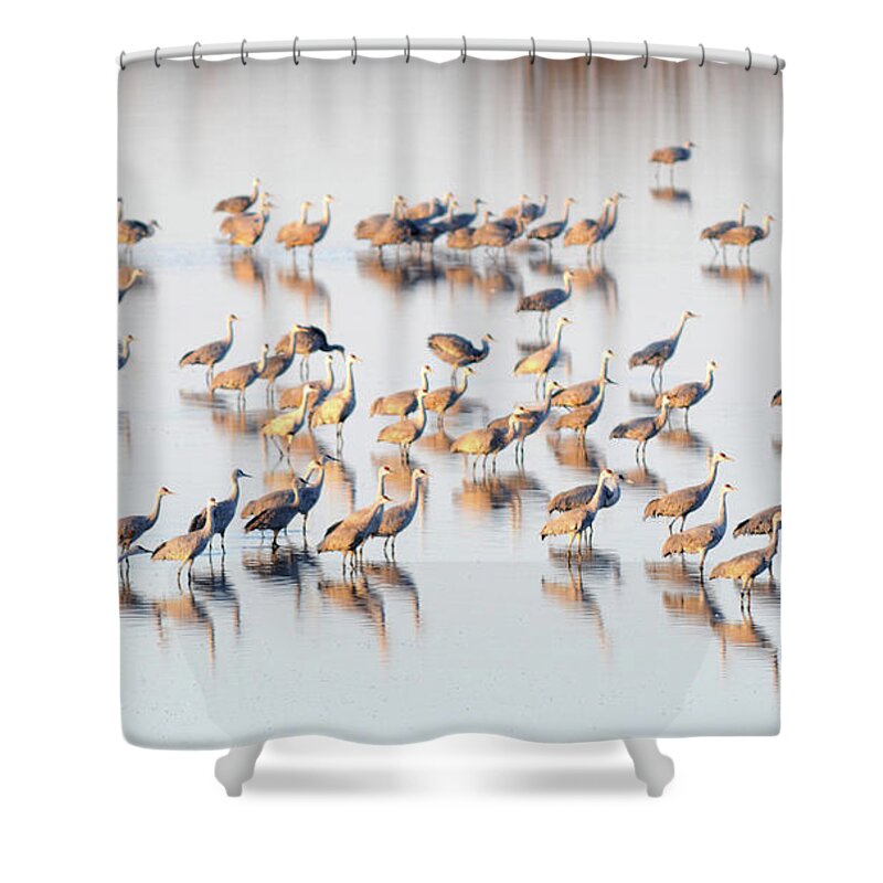 Richard E. Porter Shower Curtain featuring the photograph First One Off, Color - Muleshoe Wildlife Refuge, Texas by Richard Porter