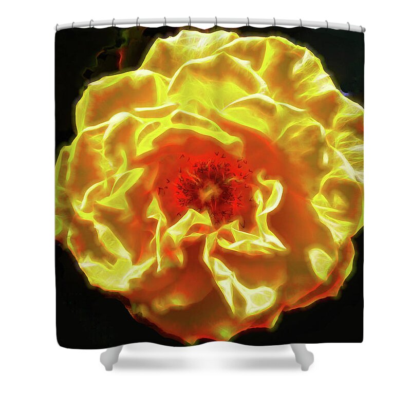 Rose Shower Curtain featuring the photograph First Rose of Summer by Michael Durst