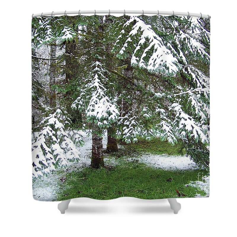 Landscape Shower Curtain featuring the photograph First Snow by Julie Rauscher