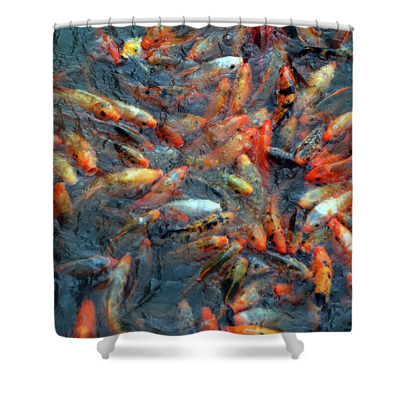 Underwater Shower Curtain featuring the photograph Fish Fight by Thomas Carroll