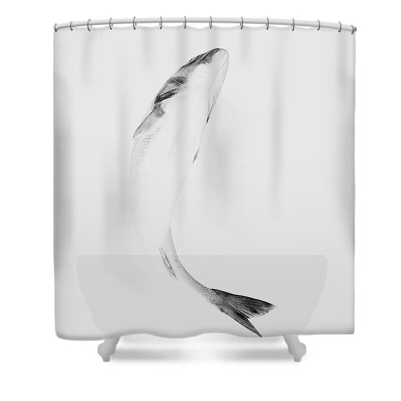 White Background Shower Curtain featuring the photograph Fish On White Background, Close-up by Jonathan Knowles