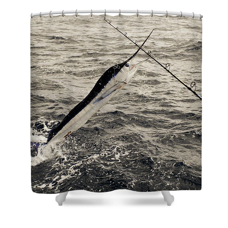Stripped Marlin Shower Curtain featuring the photograph Fisherman and Marlin battle off stern of sport fishing boat by David Shuler