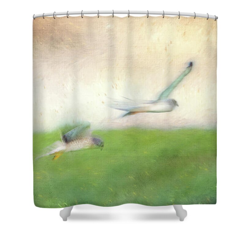 Bay Of Fundy Shower Curtain featuring the photograph Flight of the Harrier by Tracy Munson