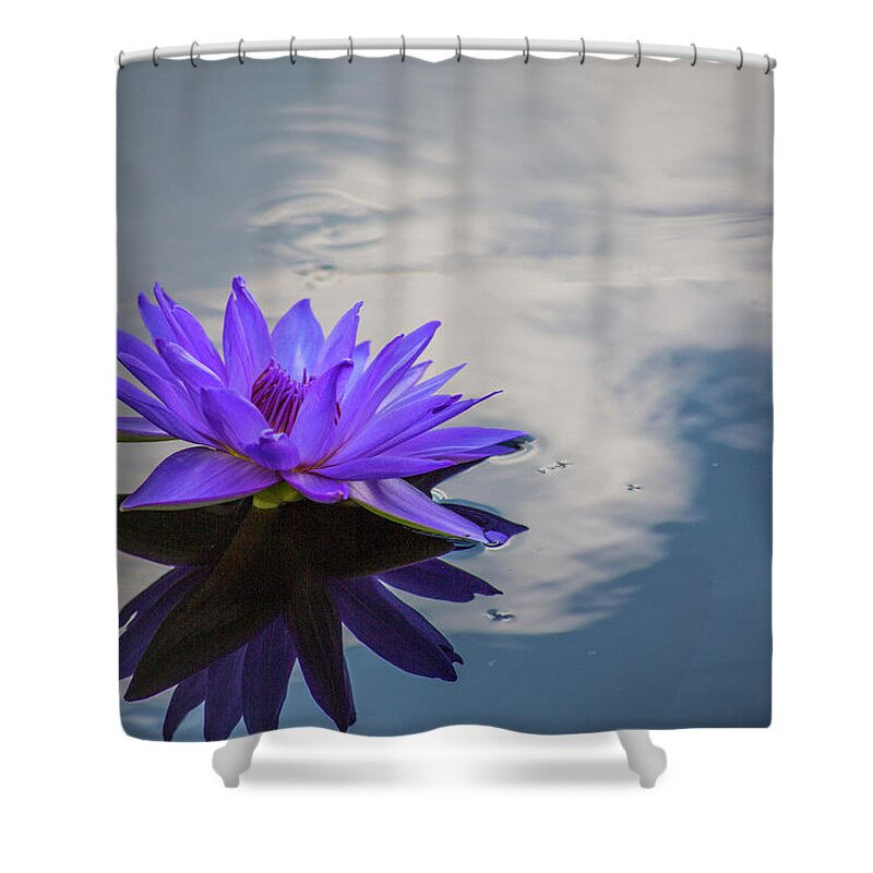 Floral Shower Curtain featuring the photograph Floating on a Cloud by John Rivera