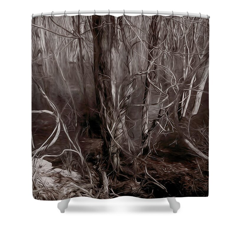 Trees Shower Curtain featuring the photograph Floodplain Forest Vines in Sepia by Wayne King