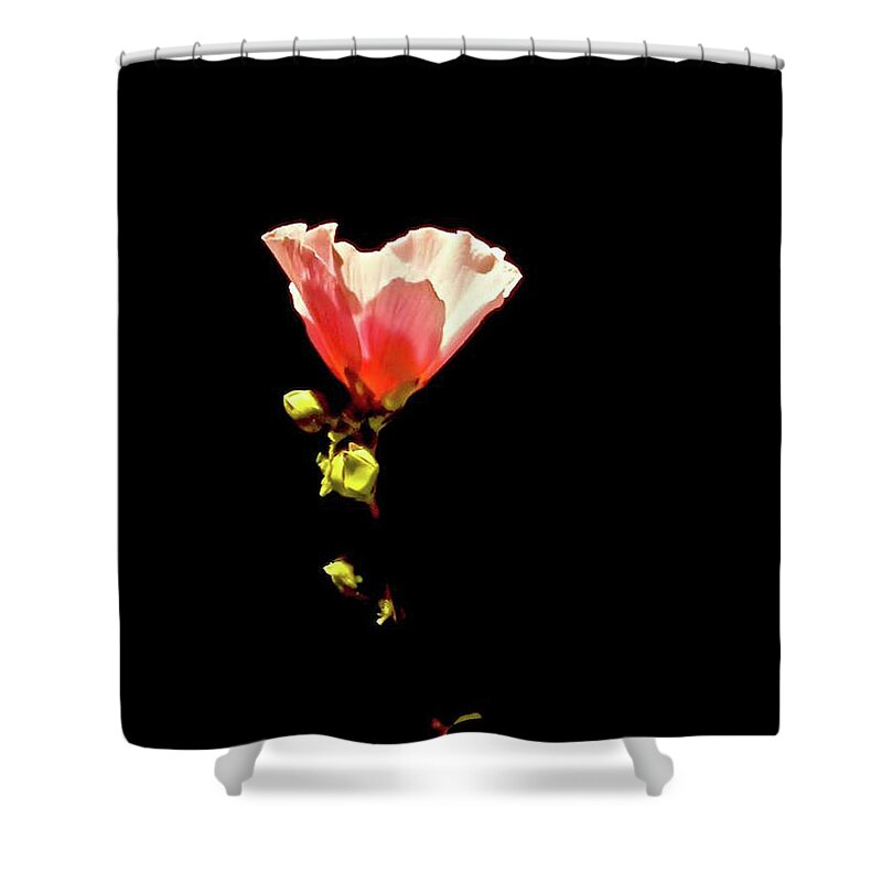 Flower Shower Curtain featuring the photograph Floral Magic by Kathy Chism