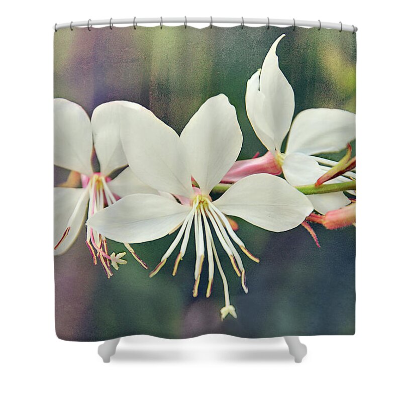 Flowers Shower Curtain featuring the photograph Floral Palette II by Leda Robertson
