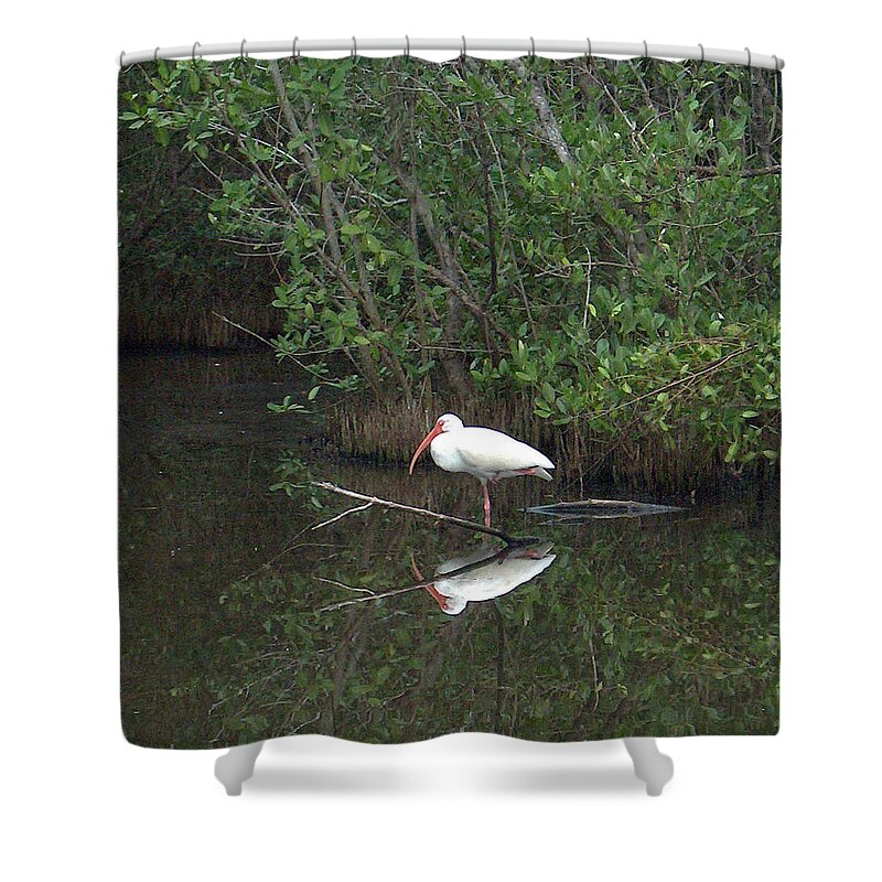 Bird Shower Curtain featuring the photograph One Legged Reflected Pose by Leslie Struxness