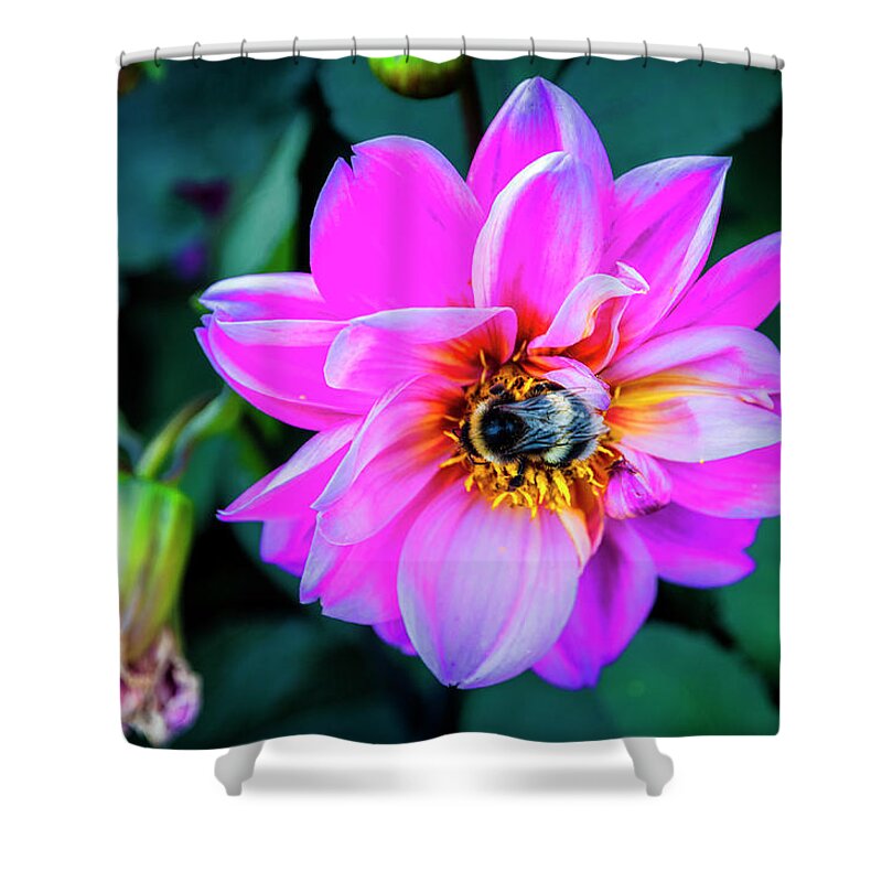 Lake Shower Curtain featuring the photograph Flower and Bee at Lake Zurich 2 by Pablo Lopez