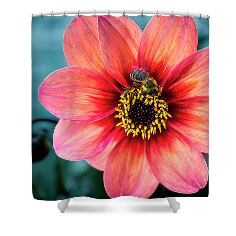 Lake Shower Curtain featuring the photograph Flower and bee at Lake Zurich by Pablo Lopez