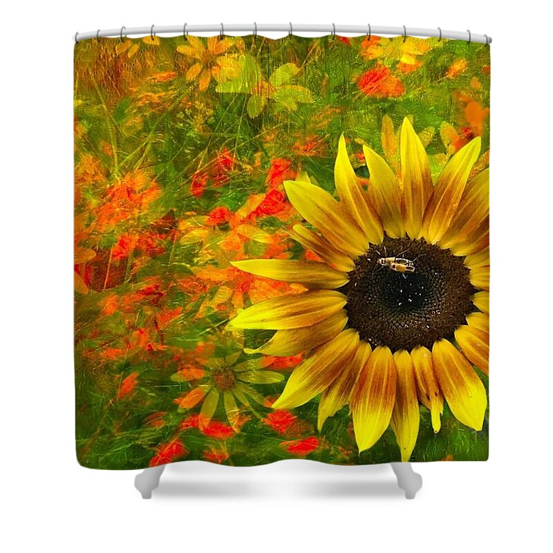  Shower Curtain featuring the photograph Flower Explosion by Jack Wilson