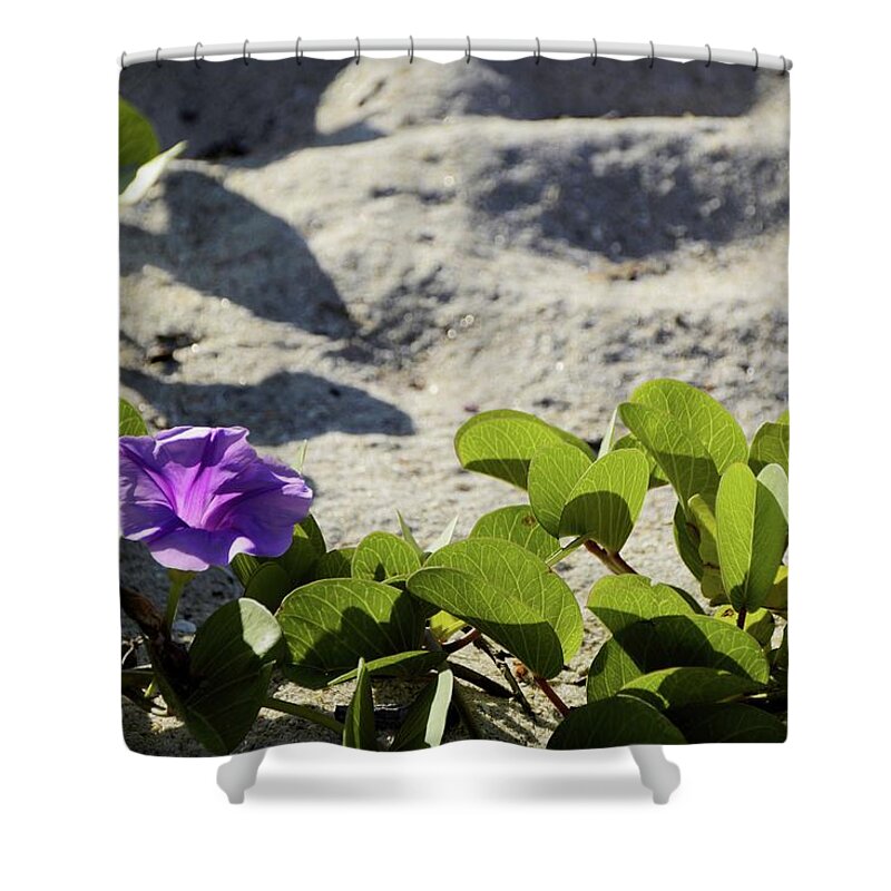 Railroad Vine Shower Curtain featuring the photograph Flower of the Sand by T Lynn Dodsworth
