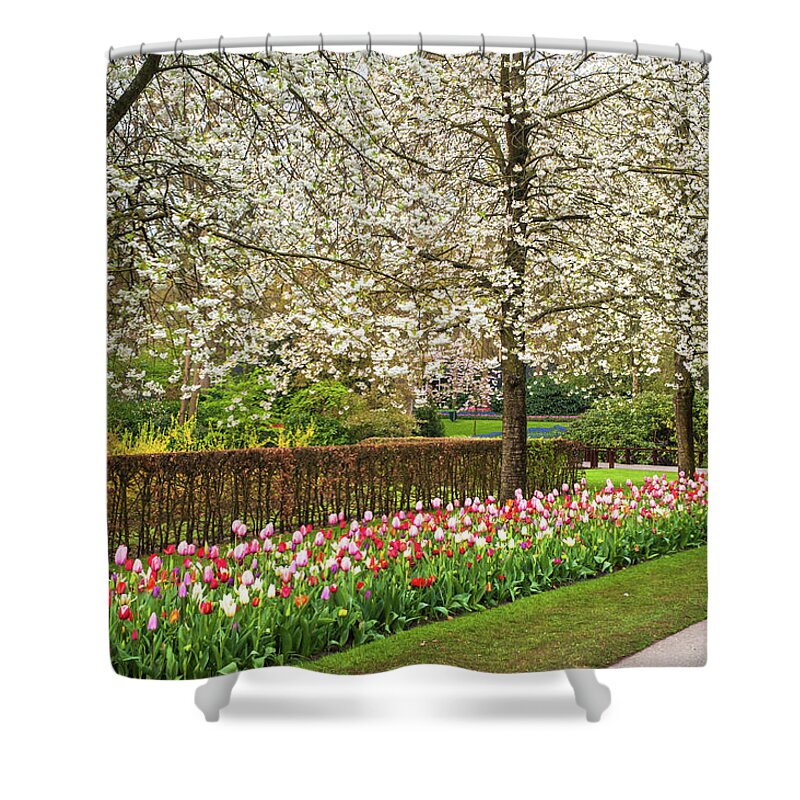 Jenny Rainbow Fine Art Photography Shower Curtain featuring the photograph Flower Power 2019. Colorful Line 2 by Jenny Rainbow