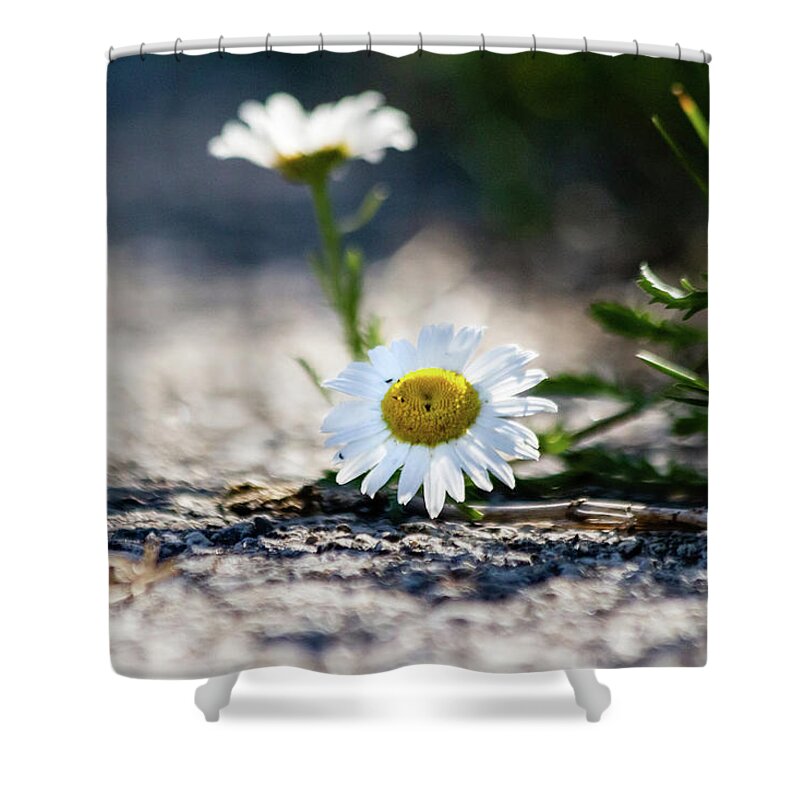Beautiful Shower Curtain featuring the photograph Flower streetside by SAURAVphoto Online Store