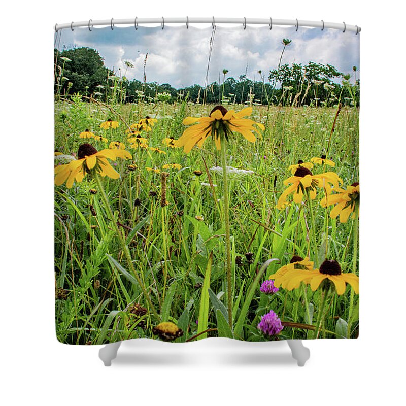 Clover Shower Curtain featuring the photograph Flowers of the Field, Cades Cove by Marcy Wielfaert
