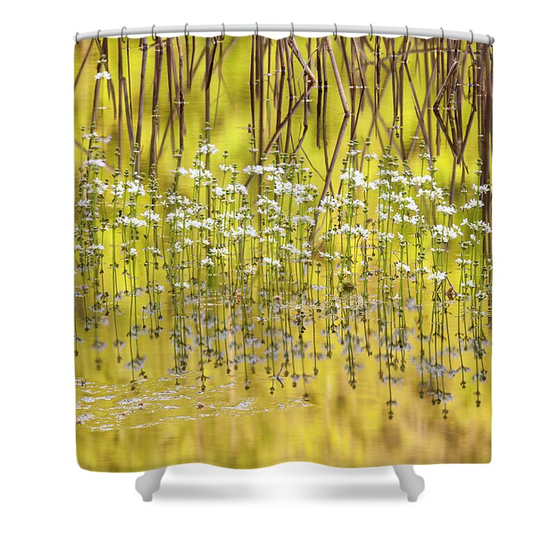 Estock Shower Curtain featuring the digital art Flowers On Lake, Italy by Riccardo Rimondi