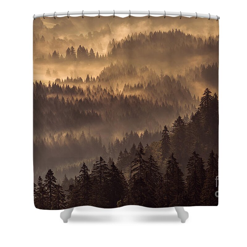 Tranquility Shower Curtain featuring the photograph Fog Over A Conifer Forest At Sunrise by Andreas Schott