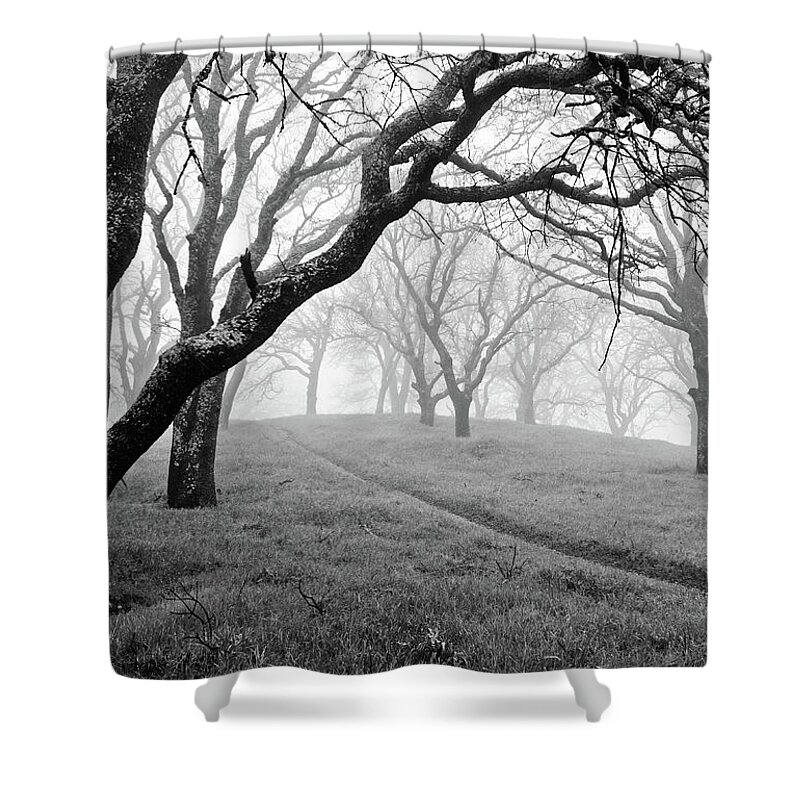 Scenics Shower Curtain featuring the photograph Foggy Forest On Mt. Diablo by Cathy Clark Aka Clcspics