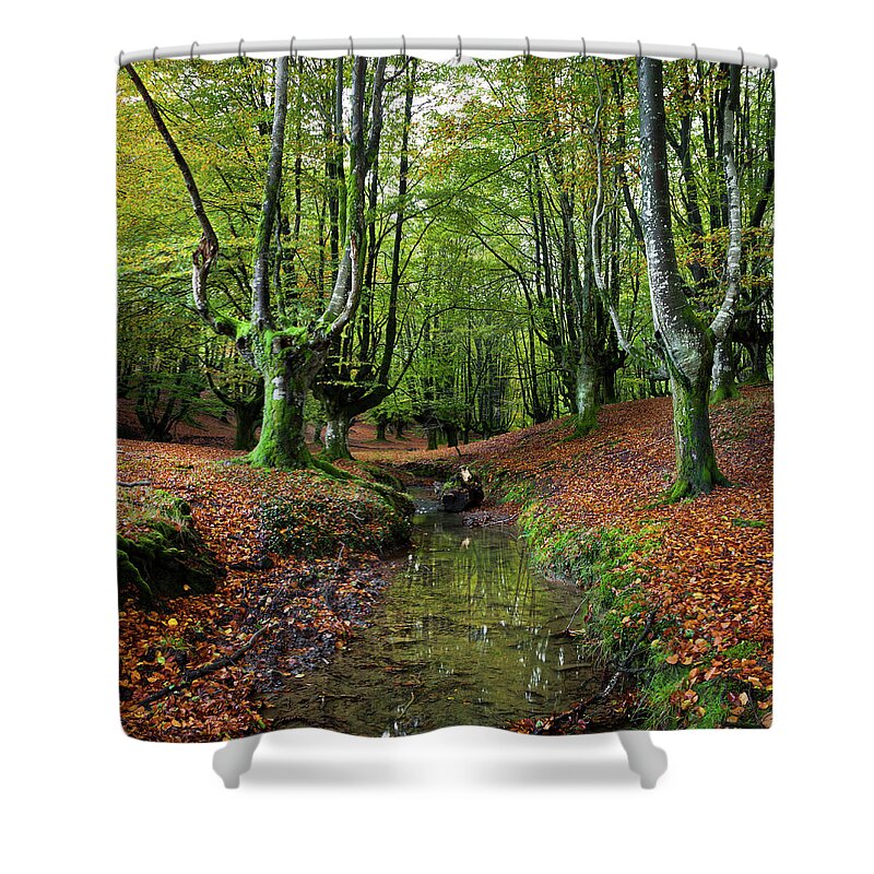 Tranquility Shower Curtain featuring the photograph Follow Me by Contact Me At Jgdamlow@gmail.com