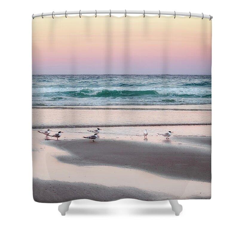 Sea Shower Curtain featuring the photograph Follow The Leader by Catherine Reading