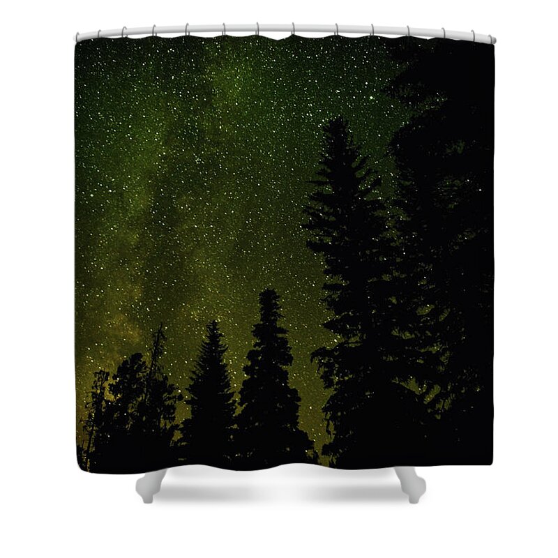 Constellation Shower Curtain featuring the photograph Forest And Milky Way At Night by Rontech2000