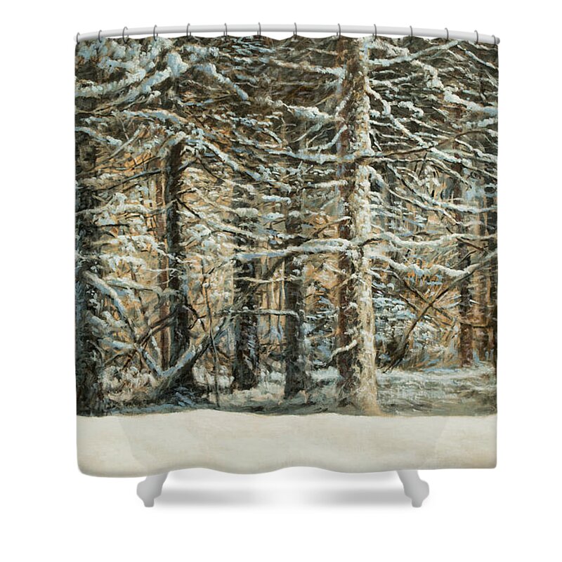 Winter Forest Shower Curtain featuring the painting Forest Front in Winter by Hans Egil Saele