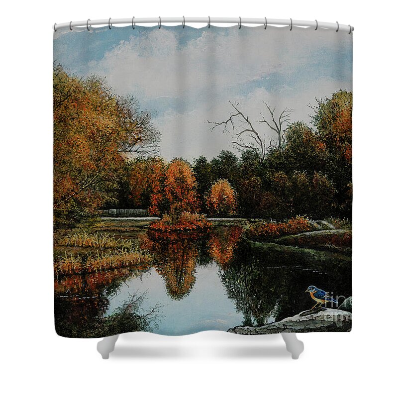 St. Louis Shower Curtain featuring the painting Forest Park Waterways 1 by Michael Frank