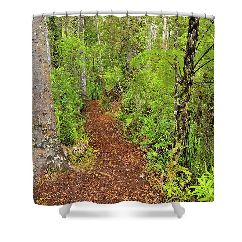 Outdoors Shower Curtain featuring the photograph Forest Trail by Raimund Linke