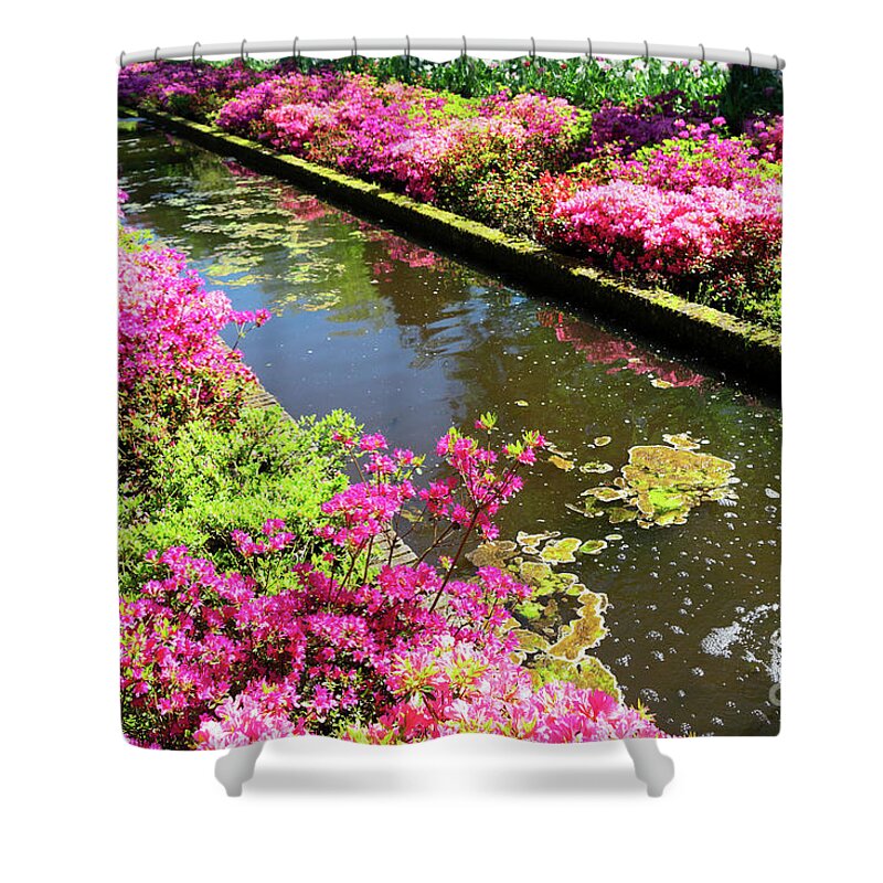 Garden Shower Curtain featuring the photograph Pink Rododendron Flowers by Anastasy Yarmolovich