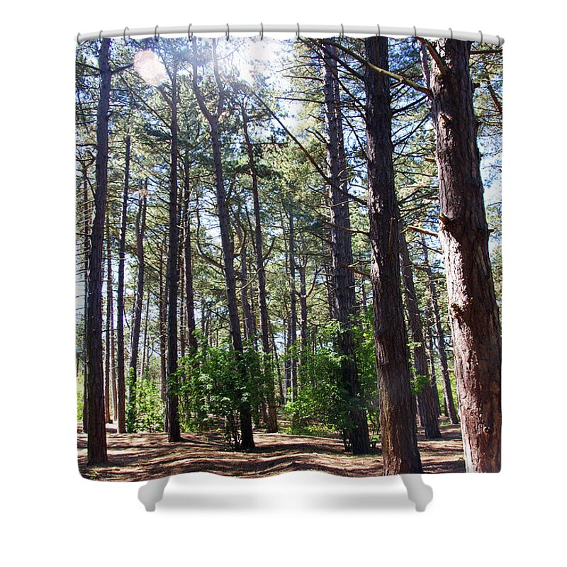 Formby Shower Curtain featuring the photograph  FORMBY. Woodland By The Coast by Lachlan Main