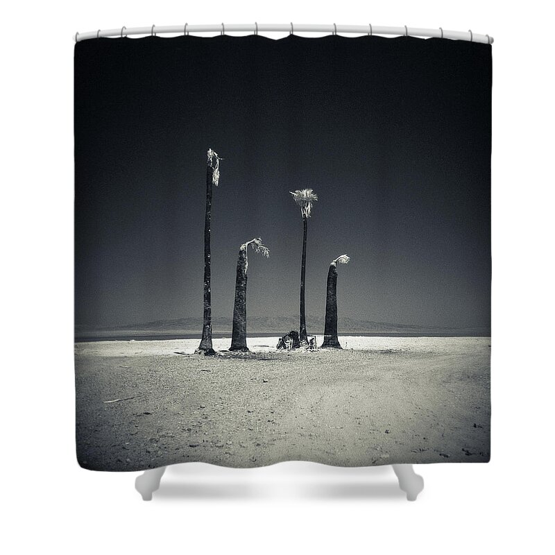 Environmental Damage Shower Curtain featuring the photograph Four Burnt Palm Trees On The Salton Sea by David Teter