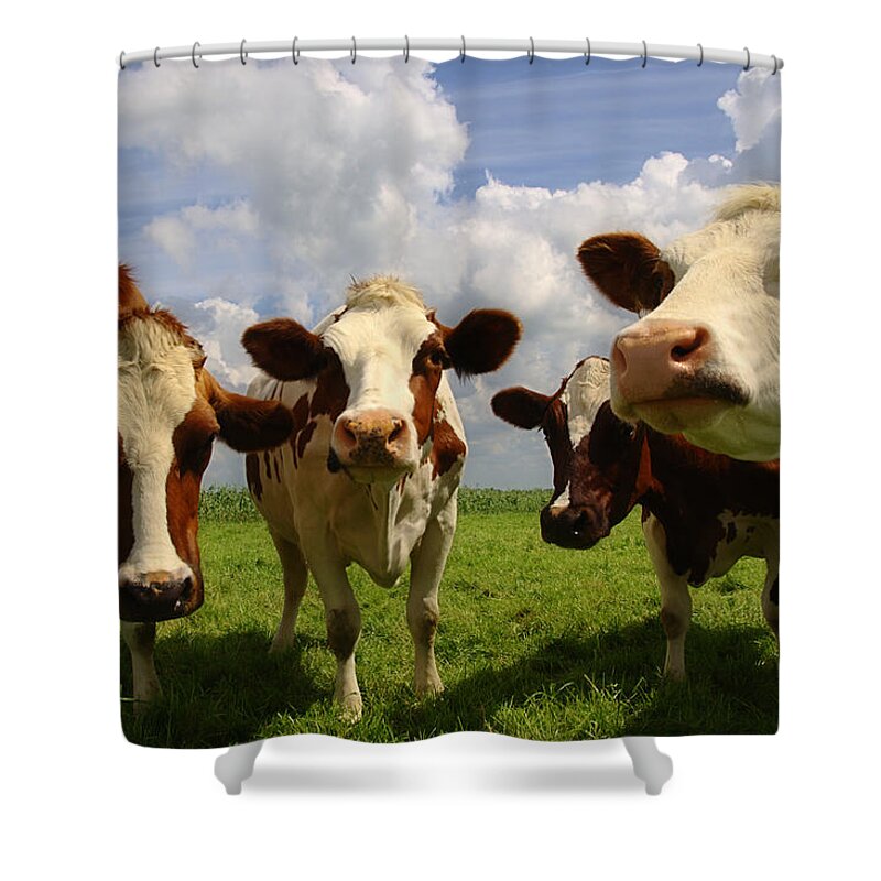 Grass Shower Curtain featuring the photograph Four Chatting Cows by Bronswerk