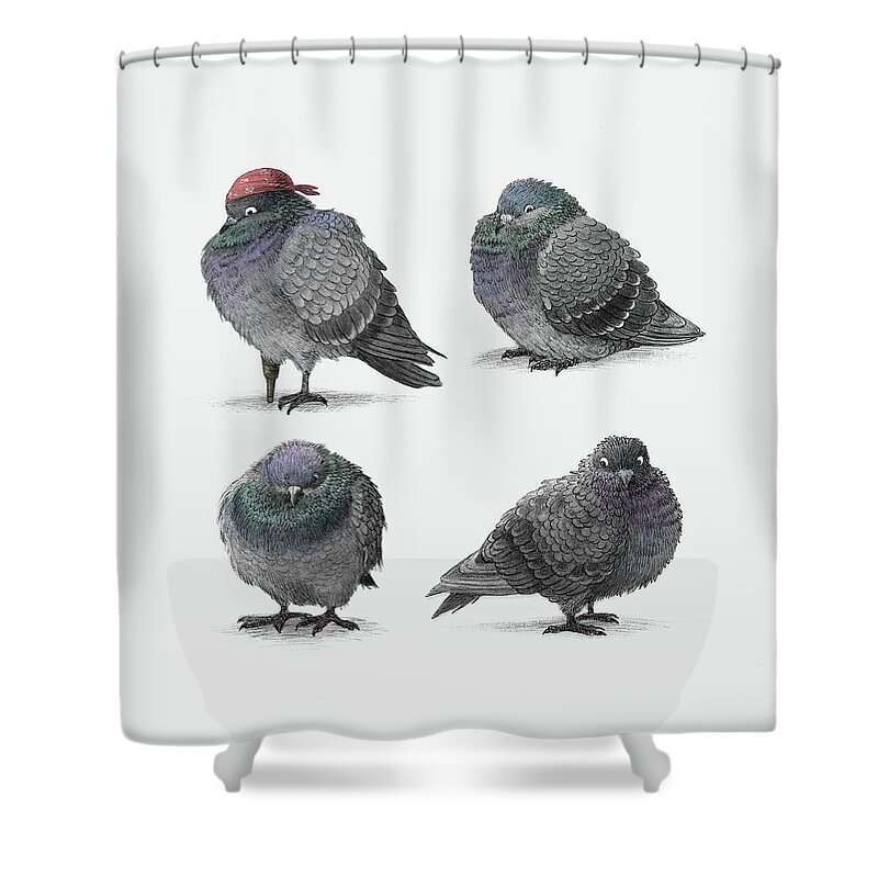 Pigeon Shower Curtain featuring the drawing Four Pigeons by Eric Fan
